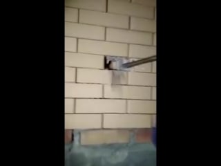 Замурованного котёнка спасли из плена кирпичной стены (vhs video)