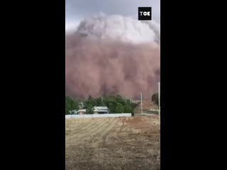 Tok media 20200623 1 mp4