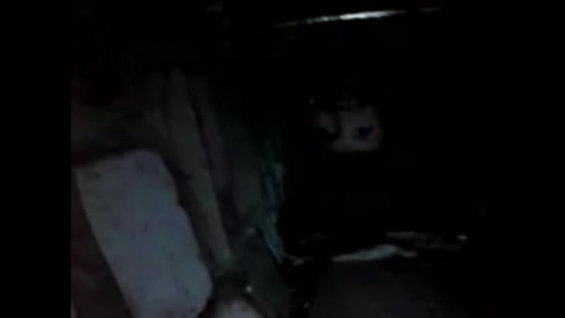 Savage webm перевернутая женщина пиздец жуть