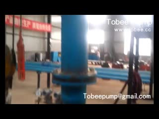 Tobee™ slurry pump performance testing at tobee pump factory