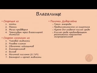 Гинекология анатомия женских половых органов (только для медиков)