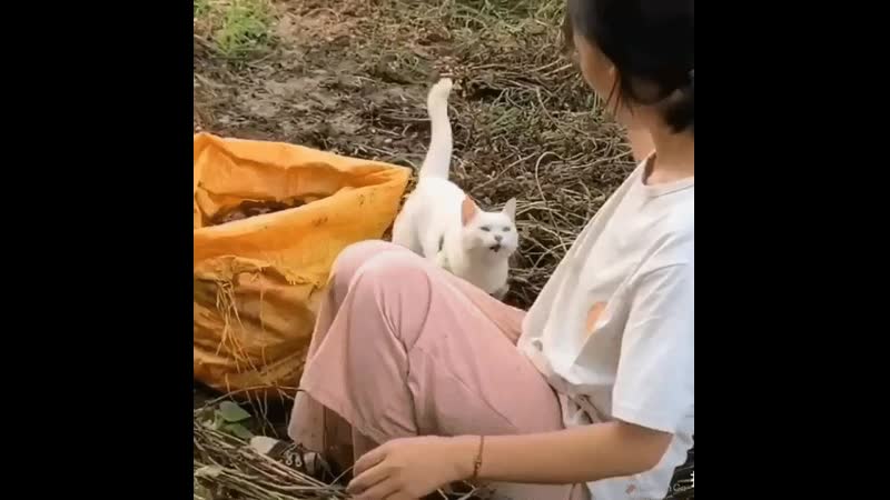 Отвлекись, удели минутку