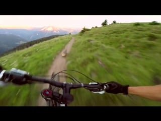 Une marmotte chassée en pleine descente de vtt