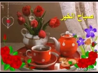 صباح الورد vid 20170202 wa0025