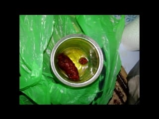 Поехавшая от нищеты в рашке ))