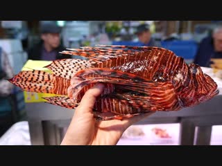 Japanese street food lionfish avocado stir fry sashimi okinawa seafood japan