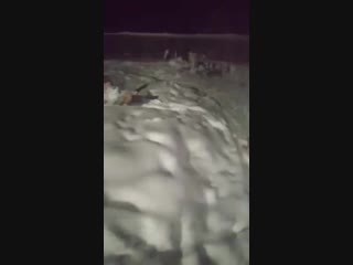 Видео от алеши поповича