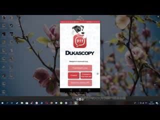 Инструкция для регистрации в dukascopy(+ eur)
