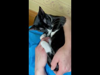 Девочка красавица джеси 4,5 5 дома