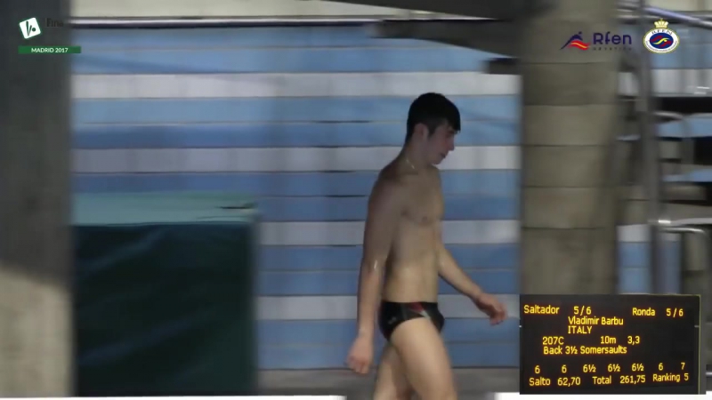 Vladimir barbu bulge (6)