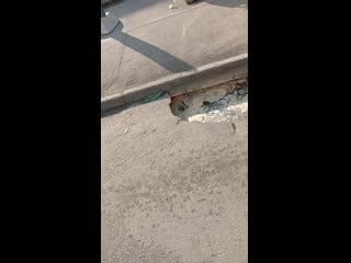 Video 20190914 121248 mp4