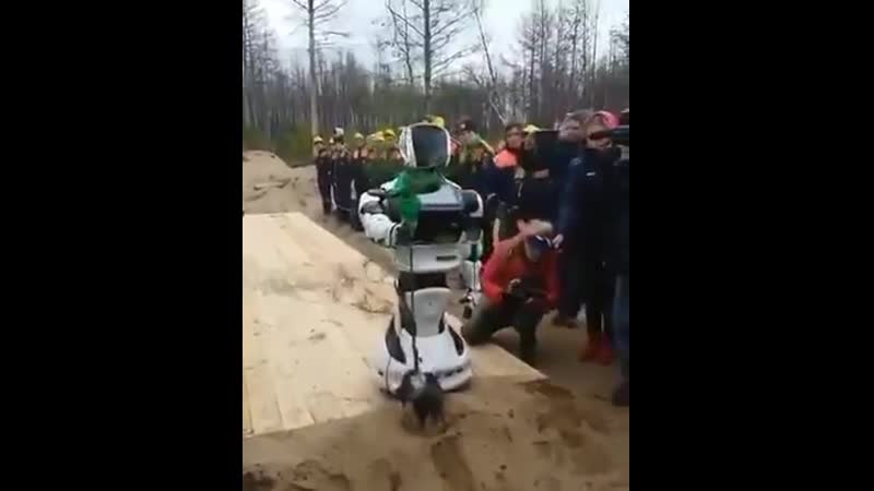 В красноярском крае робот брежнев посадил дерево назвали, потому что он