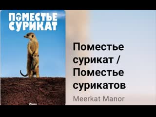 🐾 поместье сурикат поместье сурикатов выпускник (3 сезон, 12 серия)