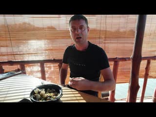 [как костян] переводчик как всегда чудит! обзор на golden river