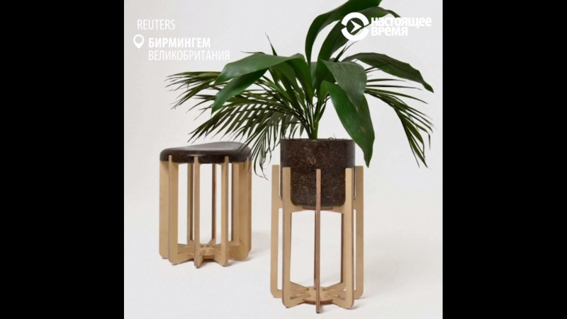 Экологичная мебель из навоза