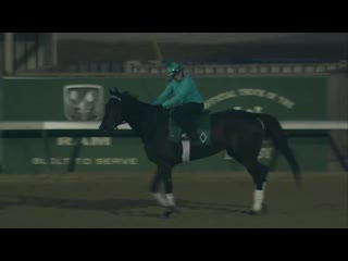 Elate working toward bc classic