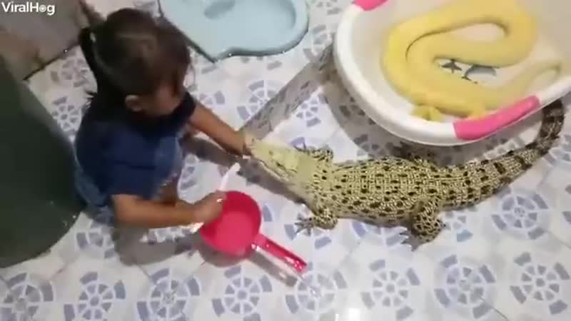 Чистим зубки и ложимся спать