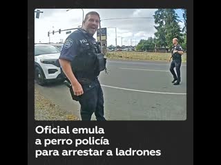 Oficial ladra como perro policía para engañar a sospechosos de robo de autos