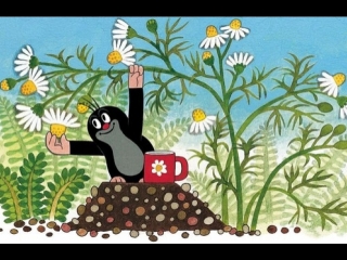 Чешский кротик (5)