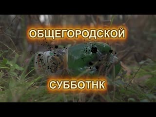 Городской субботник балтийск 2019