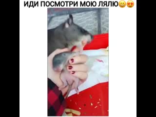 Иди посмотри мою лялю