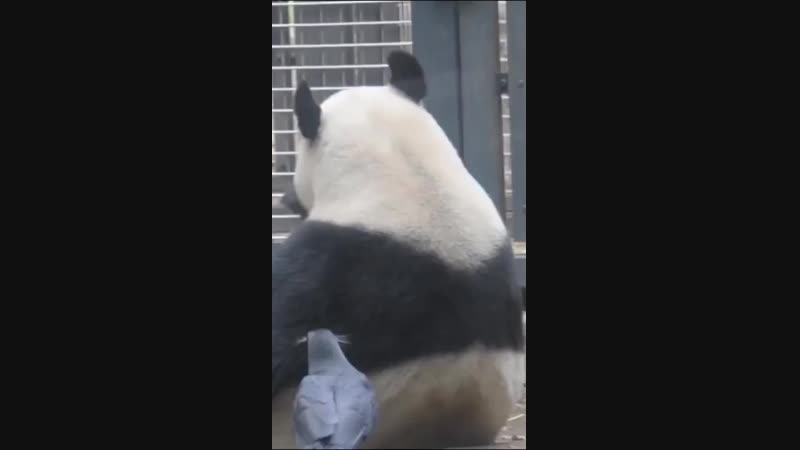 В моём гнезде будет тепло