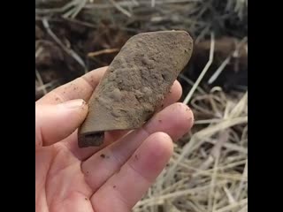 Bismark 1979 4 b8l7x 1h5hf mp4