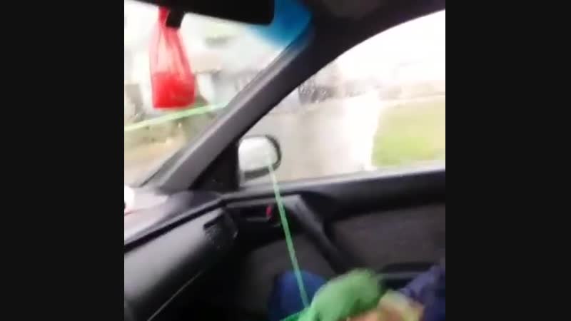 Когда сломались дворники