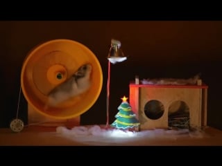 Хомяк вырабатывает электричество