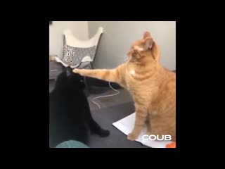 New knight has risen!