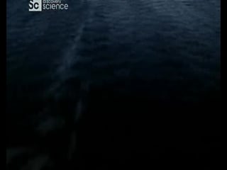 Научная нефантастика физика невозможного 1 сезон, 7 серия как построить космический корабль (how to build a starship)