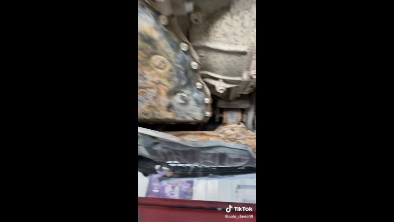 Загнила даже мыши завелись