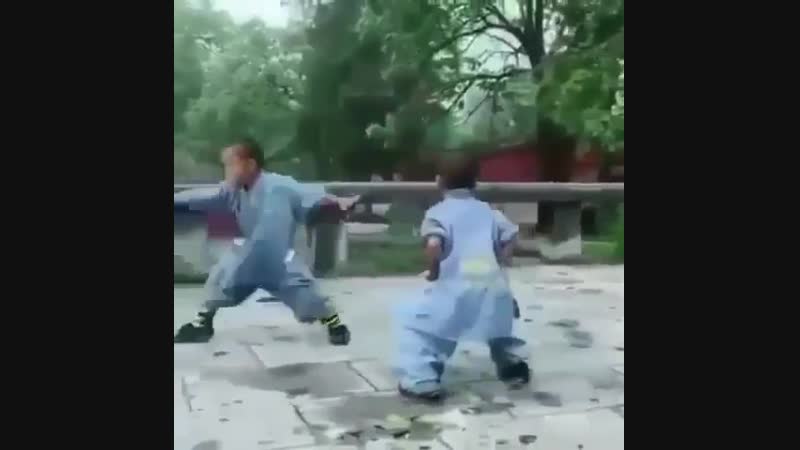 مهارتشون که حرف نداره ولی خیلی با مزه هستن