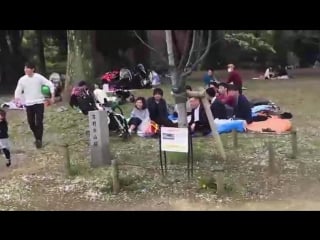 Две молодые подруги снимают на камеру свои развратные игры в кроватке prostoporno