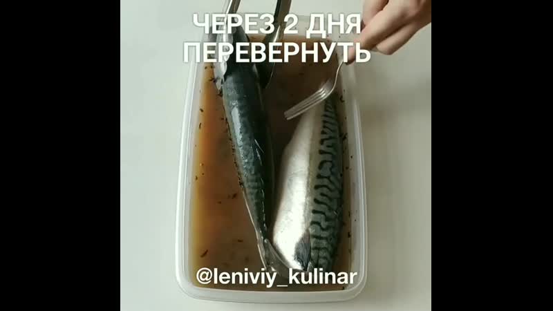 Солим скумбрию