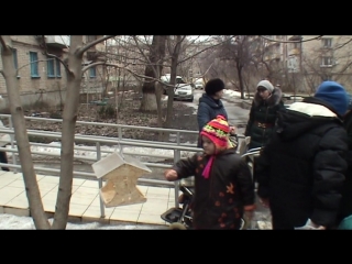 Поможем пернатому другу