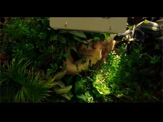 Мэг кейс / meg case wrath ( 2020 )