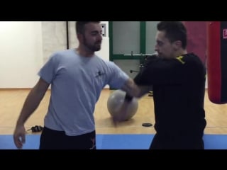 Seminar pietro di rauso