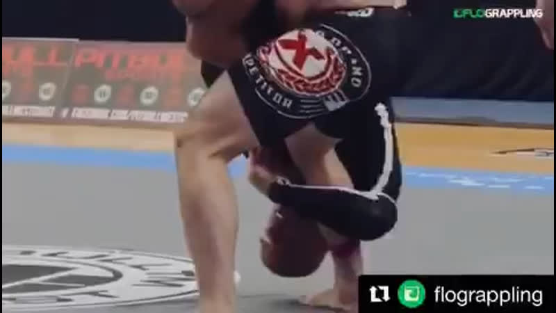 Xande ribeiro rustam chsiev adcc 2017