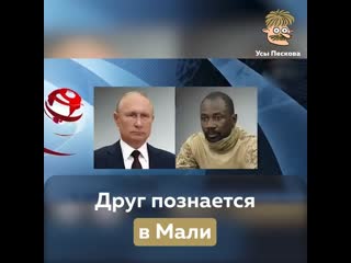 Друг познается в мали