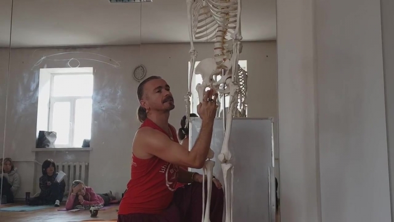 Sls подвздошно поясничная мышца подробный разбор анатолий зенченко