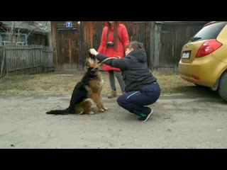 Vid 20190427 172427(0) mp4