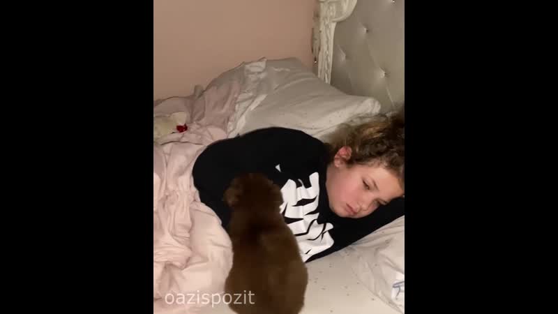 Девятилетняя дочь давно просила щенка