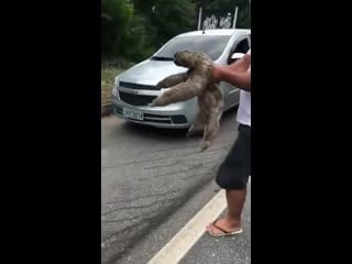 Трогательная сцена