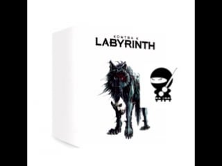 Kontra k jeden tag [bonus] ( labyrinth 2016 )