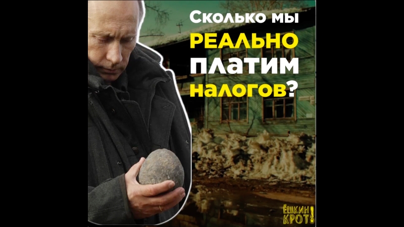 Сколько мы реально платим налогов?