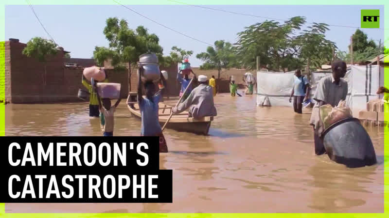 Houses destroyed, crops submerged, thousands displaced cameroon ravaged by floods