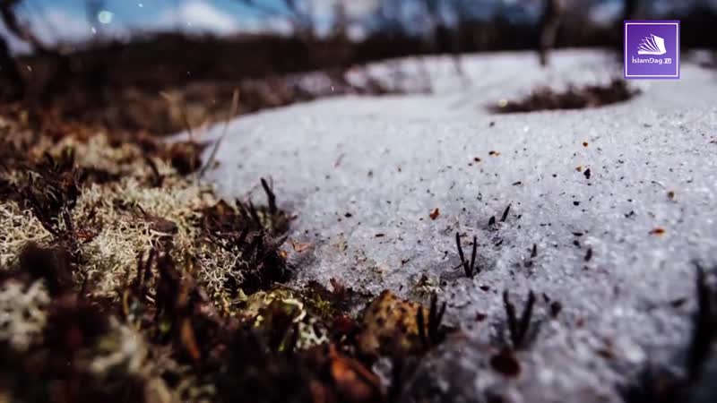 Почему всевышний забирает некоторых людей так рано?
