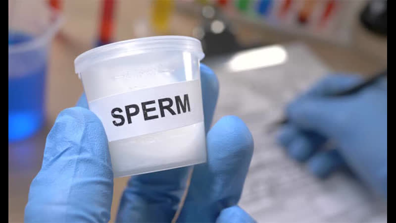 Сдача спермы