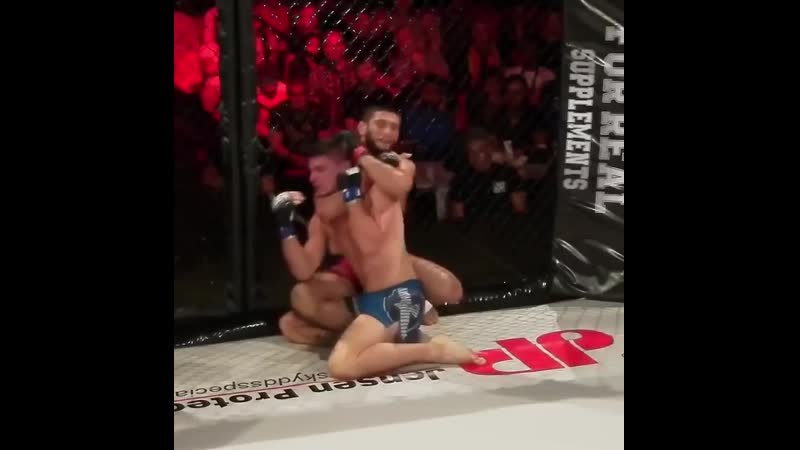 Хамзат чимаев побеждает удушением сзади